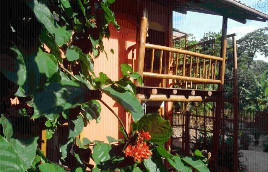 דירות איטה קרה Concha Tropical Flat מראה חיצוני תמונה