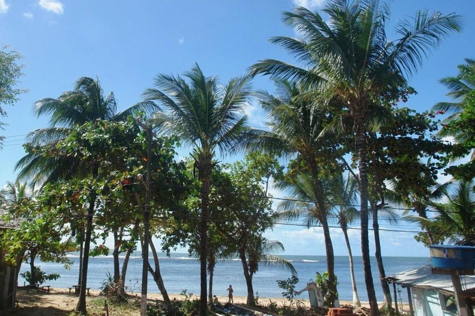 דירות איטה קרה Concha Tropical Flat מראה חיצוני תמונה