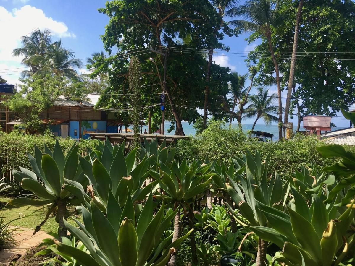 דירות איטה קרה Concha Tropical Flat מראה חיצוני תמונה